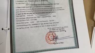 Bị lừa cả trăm triệu đồng vì sập bẫy 'đánh giá dịch vụ du lịch'