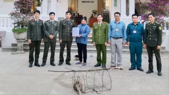 Người dân xã Nghĩa Đô giao nộp cá thể khỉ hoang dã cho cơ quan chức năng