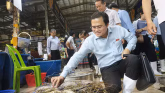 Hướng tới đổi mới toàn diện công tác quản lý an toàn thực phẩm