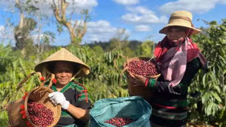 Vị thế ngành nông nghiệp Việt Nam trong bối cảnh hội nhập