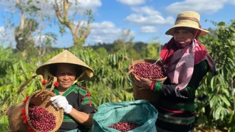 Vị thế ngành nông nghiệp Việt Nam trong bối cảnh hội nhập