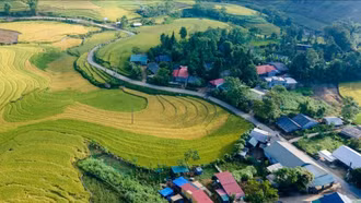 Quyết tâm vượt khó, hướng tới phát triển bền vững