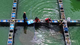 Nuôi cá tầm trên hồ nhân tạo cao nhất Việt Nam