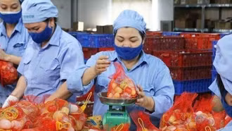 Đồng bộ chính sách an sinh trong tăng lương tối thiểu năm 2026