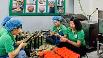 Phụ nữ dân tộc thiểu số và miền núi nâng tầm hương vị núi rừng qua từng sản phẩm