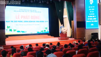 Lễ phát động Ngày thế giới phòng, chống bệnh đái tháo đường năm 2025