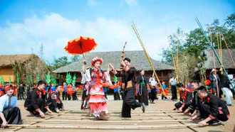 Hé lộ "bản đồ" du xuân miền Bắc "lên rừng xuống biển" chất như nước cất