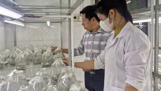 Vườn Quốc gia Hoàng Liên ứng dụng công nghệ cao bảo tồn và phát triển nguồn gen quý