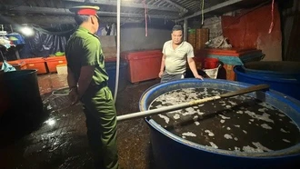 Thực phẩm bẩn và nỗi lo 'vị đắng' trên mâm cỗ Tết