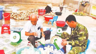 Nâng cao vai trò dẫn dắt, kết nối của hợp tác xã nông nghiệp