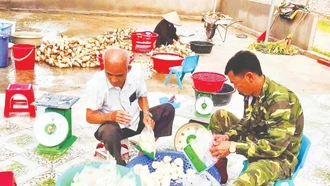 Nâng cao vai trò dẫn dắt, kết nối của hợp tác xã nông nghiệp