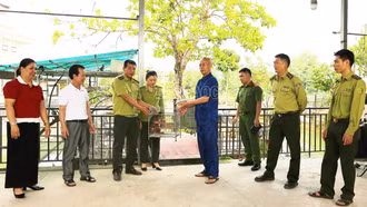 Phường Nghĩa Lộ: Bàn giao cá thể khỉ mặt đỏ quý hiếm cho cơ quan chức năng cứu hộ, tái thả