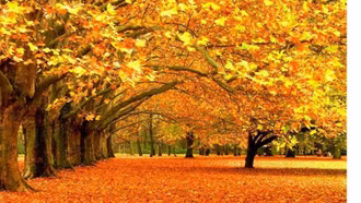 Thao thức mùa thu