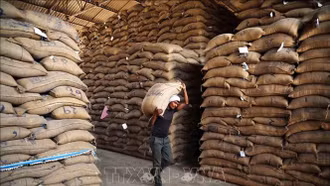 Giá gạo Ấn Độ giảm xuống mức thấp nhất 2 năm