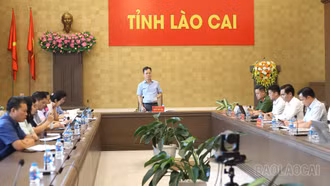 Đẩy nhanh tiến độ làm giàu, làm sạch cơ sở dữ liệu đất đai