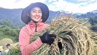 Mùa gặt dưới chân núi Ngựa Thần