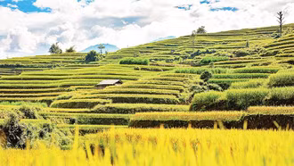 Hoàng Su Phì - miền ruộng bậc thang kỳ ảo