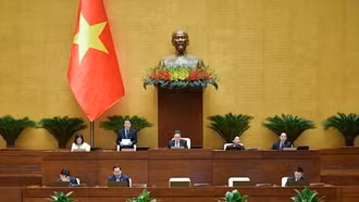 Thông cáo báo chí số 28, Kỳ họp thứ 8, Quốc hội khóa XV