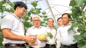 'Quả ngọt' nông nghiệp công nghệ cao