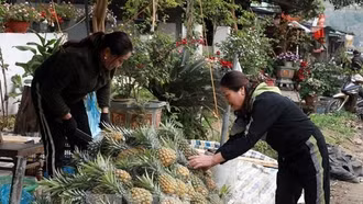 Lào Cai phát triển đồng bộ kết cấu hạ tầng thương mại nông thôn