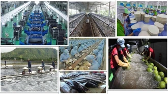 Kinh tế tư nhân là một động lực quan trọng nhất - Quan điểm đúng đắn, sáng tạo của Đảng ta