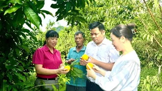 Nhiều kết quả trong giảm nghèo tại phường Trung Tâm