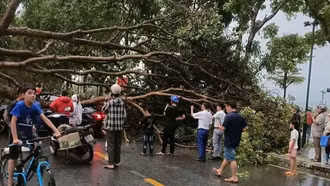 Mưa dông gây thiệt hại tại một số địa phương trong tỉnh