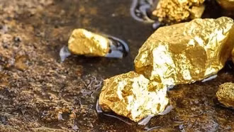 Thêm 12 mỏ vàng trữ lượng 10 tấn vừa được phát hiện