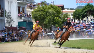 Náo nức vó ngựa trên cao nguyên trắng Bắc Hà trước ngày khai cuộc