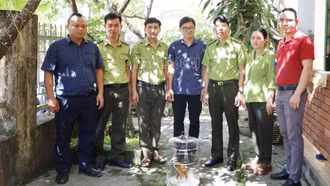 Tiếp nhận cá thể cu li nhỏ để chăm sóc, cứu hộ