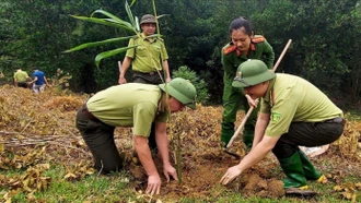 Lào Cai tăng cường quản lý và bảo vệ rừng
