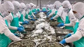 Doanh nghiệp Việt chủ động ứng phó với rào cản phòng vệ thương mại