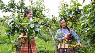 Phát huy hiệu quả các Chương trình mục tiêu quốc gia tại vùng đồng bào dân tộc thiểu số