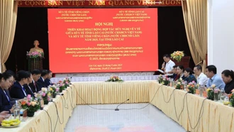 Tăng cường hợp tác, phát triển bền vững