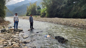 Nguy cơ ô nhiễm suối đầu nguồn