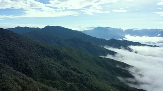 “Lá chắn xanh” nơi rừng đầu nguồn