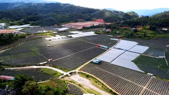 Chuyển biến mới trong cách nghĩ, cách làm của nông dân Púng Luông