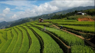 Cơ hội quảng bá du lịch Mù Cang Chải