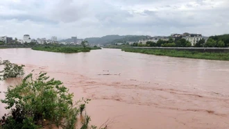 Lũ trên sông Hồng, cảnh báo nguy cơ ngập lụt 
