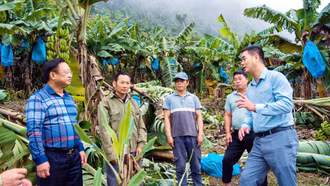 Mường Khương tập trung cao độ ứng phó bão số 11