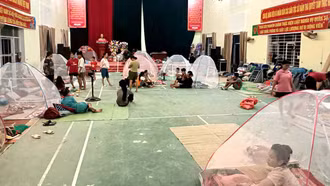 Chiềng Ken di chuyển hơn 300 nhân khẩu để tránh hoàn lưu bão số 11