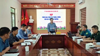 Bản Lầu chủ động ứng phó với mưa lũ