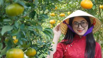 Việt Nam trong 20 quốc gia tốt nhất để đi du lịch