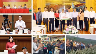 Điểm tin trong tuần từ ngày 18/11 đến ngày 24/11