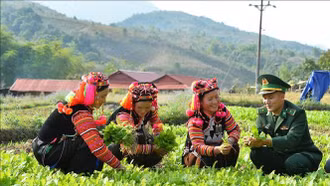 Điều chỉnh Chương trình mục tiêu quốc gia phát triển KT-XH vùng đồng bào dân tộc thiểu số và miền núi