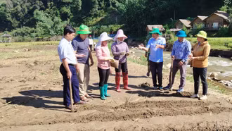 Tỉnh ủy Lào Cai chỉ đạo khẩn trương giải quyết vướng mắc, đảm bảo quyền và lợi ích chính đáng của viên chức, người lao động các đơn vị sự nghiệp công lập cấp xã