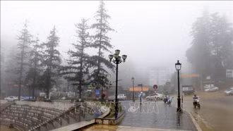 Thời tiết ngày 14/3: Bắc Bộ sáng và đêm mưa phùn, ngày mai trời chuyển rét