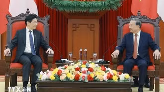 Đẩy mạnh hợp tác giữa hai đảng cầm quyền ở Việt Nam và Singapore