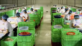 Kinh tế tư nhân với khát khao bứt phá và phát triển