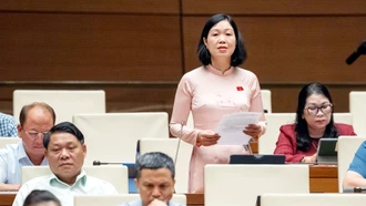 Đại biểu Nguyễn Thị Lan Anh tham gia thảo luận về Luật Nhà giáo